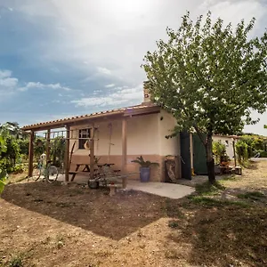 Un' Ottima Annata - La Casa Nel Vigneto Monte Porzio Catone